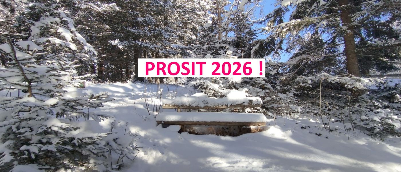 Patscherkofelbahn, Sommerurlaub in Tirol, Lans, Ferienappartements Wessely, Lanser See