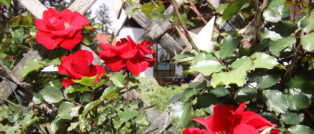 Appartements Wessely in Lans in Tirol, Lanser See, Sommer, Golfen in Lans, Preise