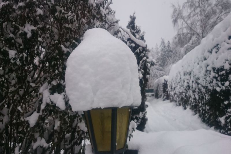 Skifahren am Patscherkofel Innsbruck Tirol